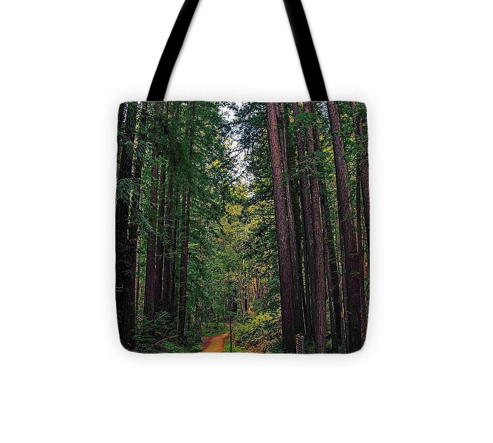 Cowell Redwoods State Park - Tote Bag