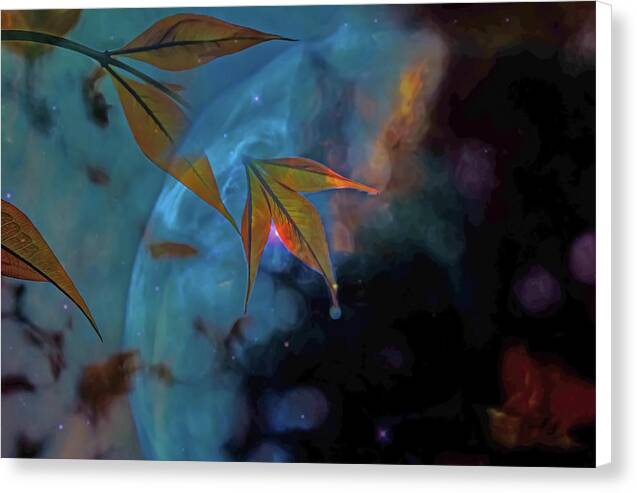 Creative Nature and Planetary Background - Canvas Print