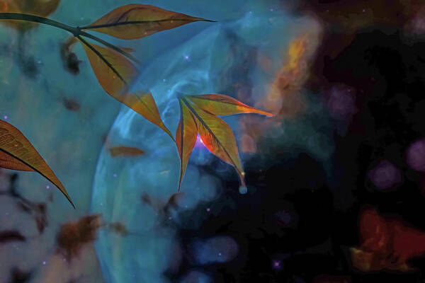 Creative Nature and Planetary Background - Art Print