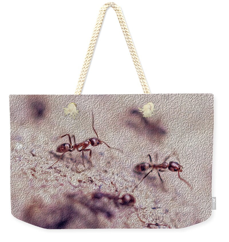 Cute ants Landscape Art - Weekender Tote Bag