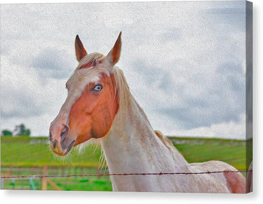 Cute Horse Mixed Media Art - Canvas Print