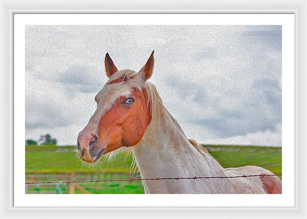 Cute Horse Mixed Media Art - Framed Print