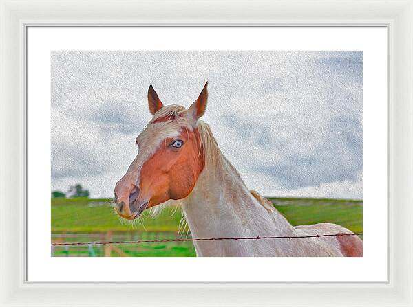 Cute Horse Mixed Media Art - Framed Print