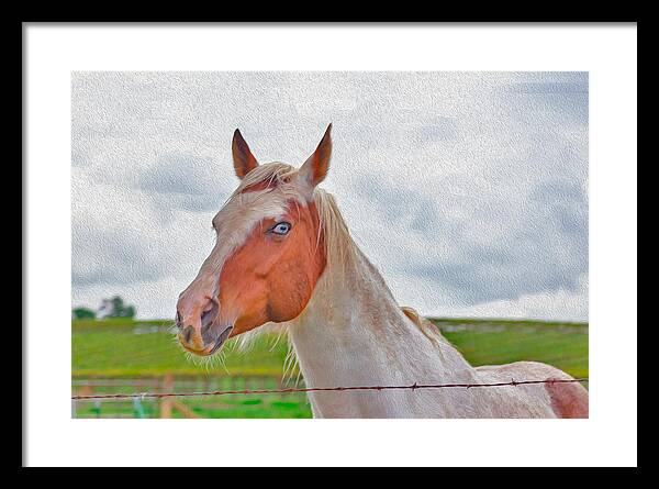 Cute Horse Mixed Media Art - Framed Print