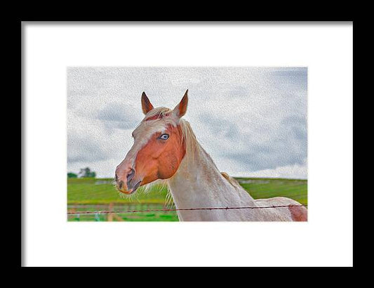 Cute Horse Mixed Media Art - Framed Print