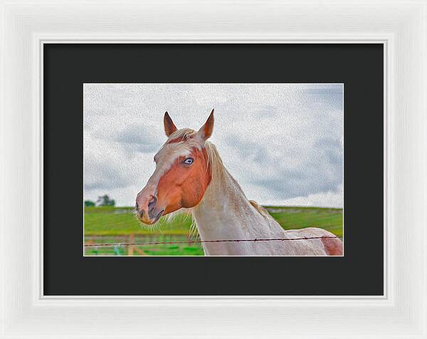 Cute Horse Mixed Media Art - Framed Print