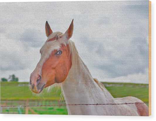 Cute Horse Mixed Media Art - Wood Print