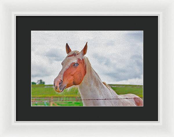 Cute Horse Mixed Media Art - Framed Print