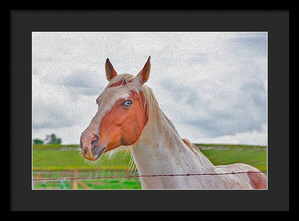 Cute Horse Mixed Media Art - Framed Print