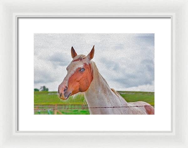Cute Horse Mixed Media Art - Framed Print