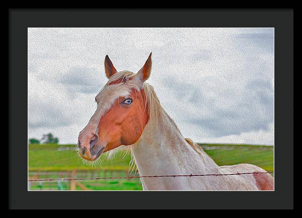 Cute Horse Mixed Media Art - Framed Print