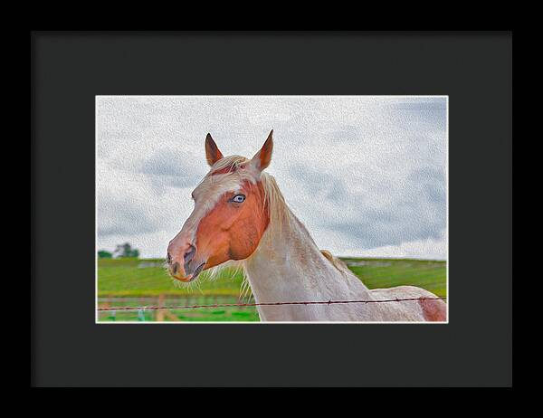 Cute Horse Mixed Media Art - Framed Print