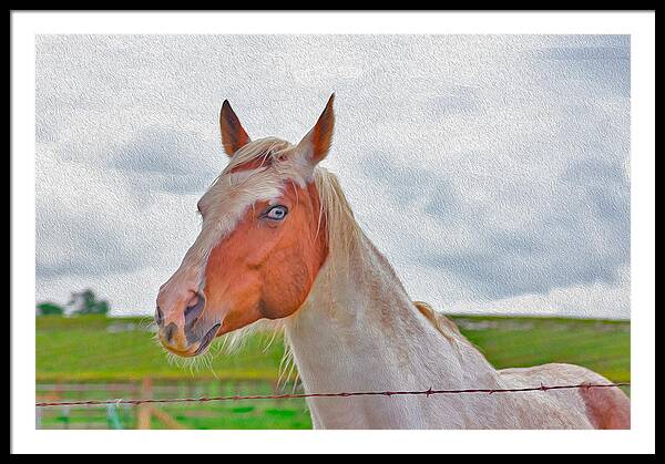 Cute Horse Mixed Media Art - Framed Print