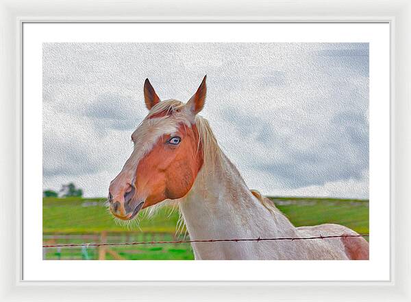 Cute Horse Mixed Media Art - Framed Print