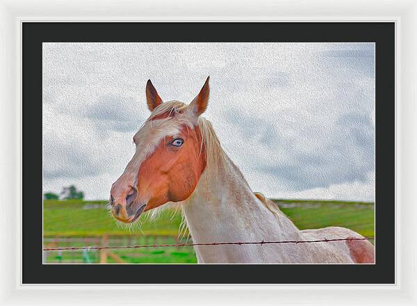Cute Horse Mixed Media Art - Framed Print