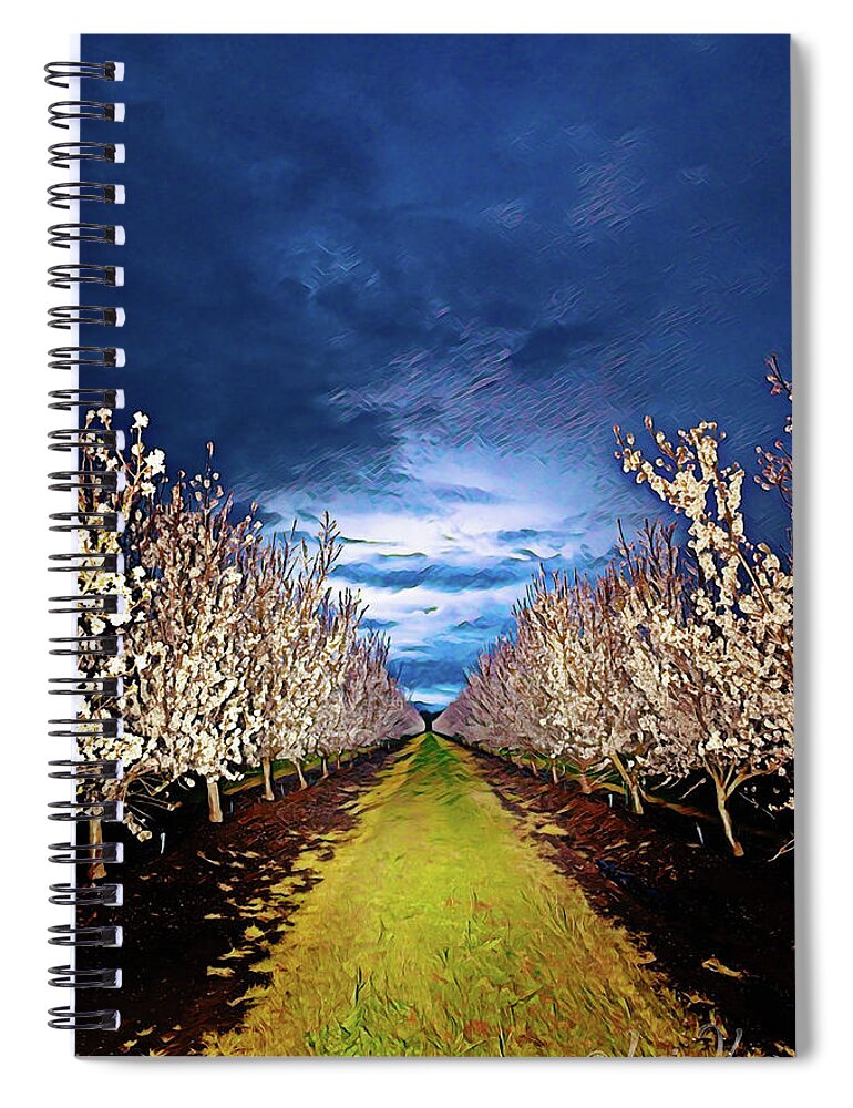 Dark and Cloudy Night Almond Blooms - Spiral Notebook