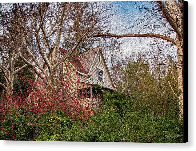 Dreamy Home Landscape - Canvas Print