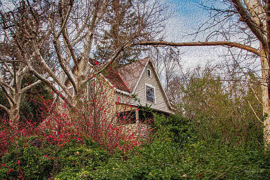Dreamy Home Landscape - Art Print