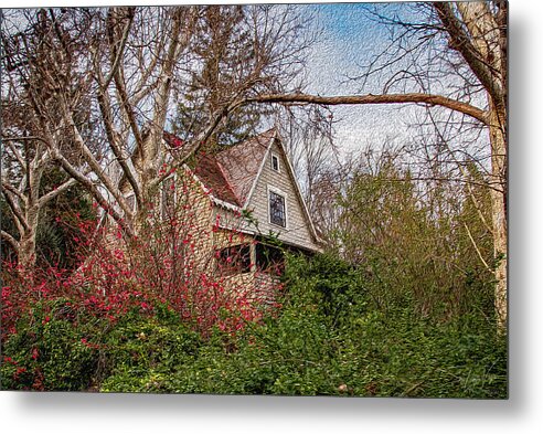 Dreamy Home Landscape - Metal Print
