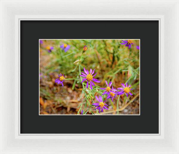 Dreamy Purple and Yellow Flowers Landscape - Framed Print
