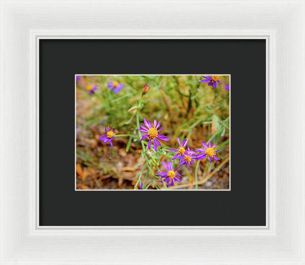 Dreamy Purple and Yellow Flowers Landscape - Framed Print