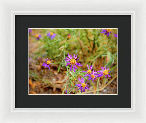 Dreamy Purple and Yellow Flowers Landscape - Framed Print