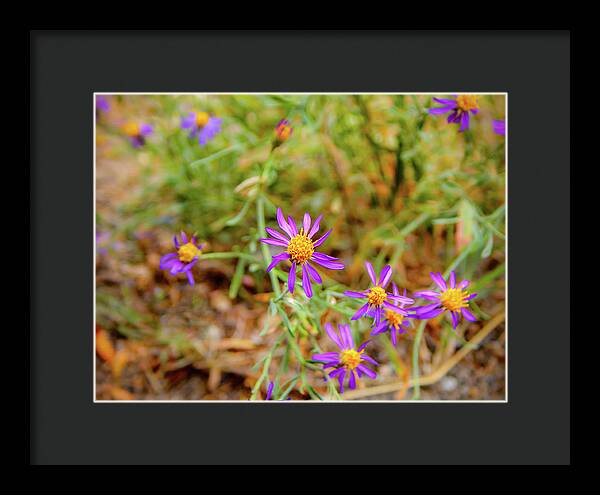 Dreamy Purple and Yellow Flowers Landscape - Framed Print