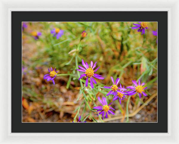 Dreamy Purple and Yellow Flowers Landscape - Framed Print