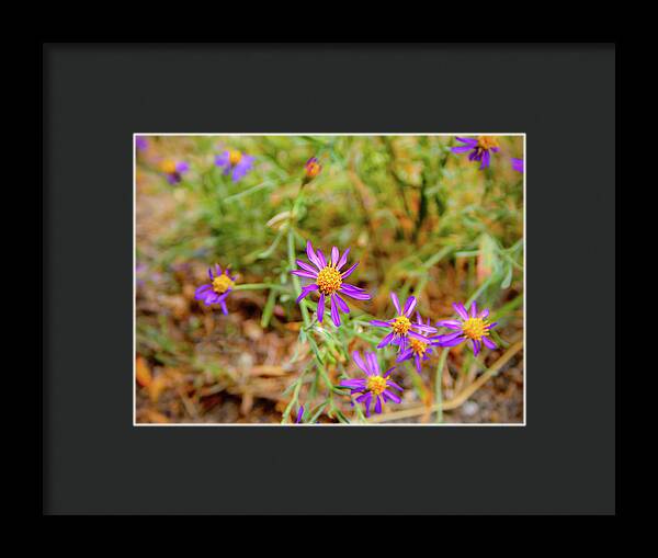 Dreamy Purple and Yellow Flowers Landscape - Framed Print