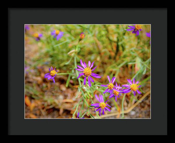 Dreamy Purple and Yellow Flowers Landscape - Framed Print