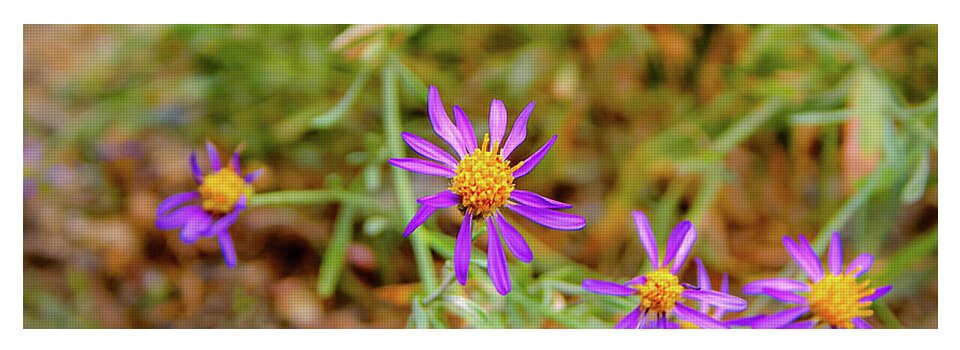 Dreamy Purple and Yellow Flowers Landscape - Yoga Mat