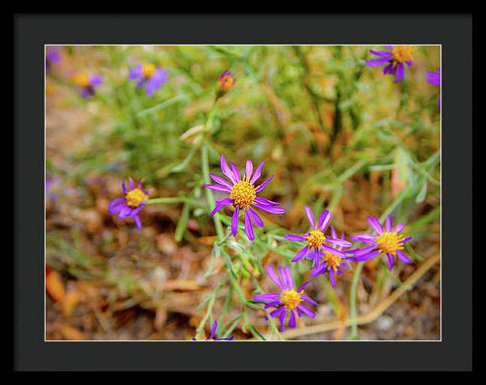 Dreamy Purple and Yellow Flowers Landscape - Framed Print