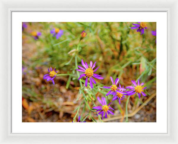 Dreamy Purple and Yellow Flowers Landscape - Framed Print