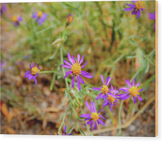 Dreamy Purple and Yellow Flowers Landscape - Wood Print