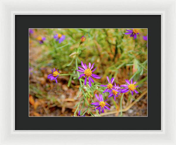 Dreamy Purple and Yellow Flowers Landscape - Framed Print