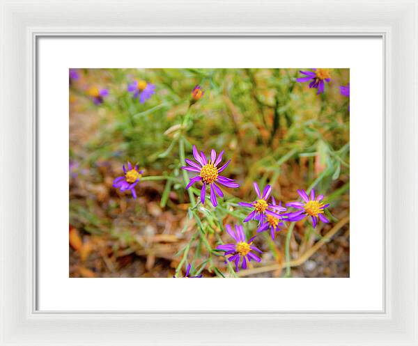 Dreamy Purple and Yellow Flowers Landscape - Framed Print