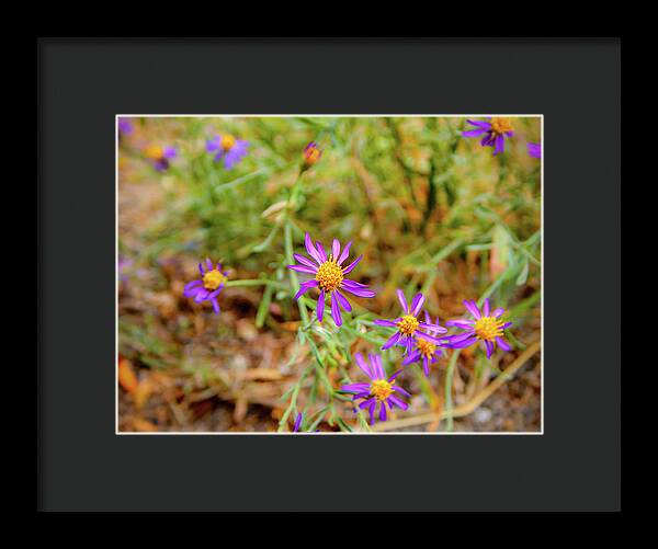 Dreamy Purple and Yellow Flowers Landscape - Framed Print