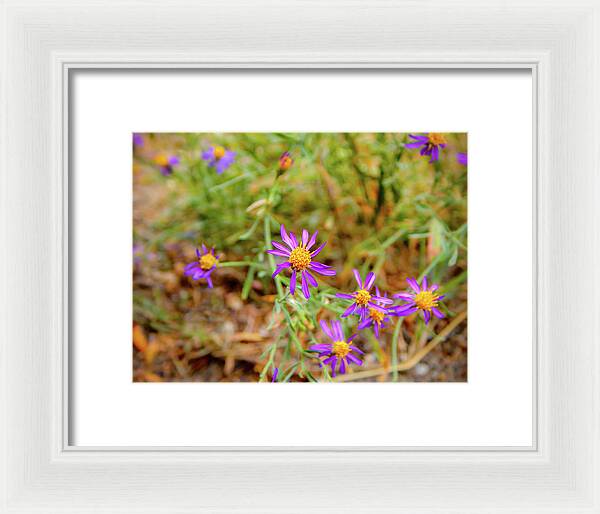 Dreamy Purple and Yellow Flowers Landscape - Framed Print