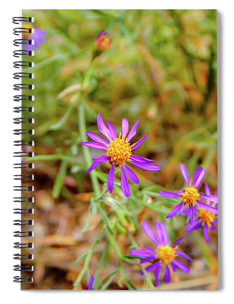 Dreamy Purple and Yellow Flowers Landscape - Spiral Notebook