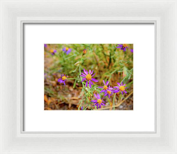 Dreamy Purple and Yellow Flowers Landscape - Framed Print