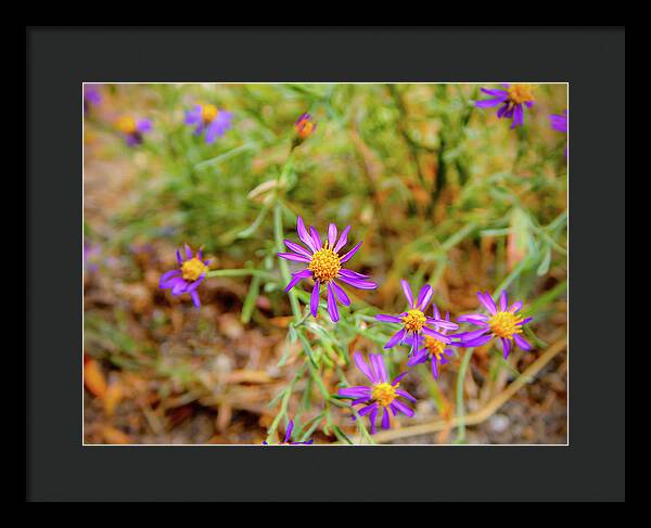 Dreamy Purple and Yellow Flowers Landscape - Framed Print