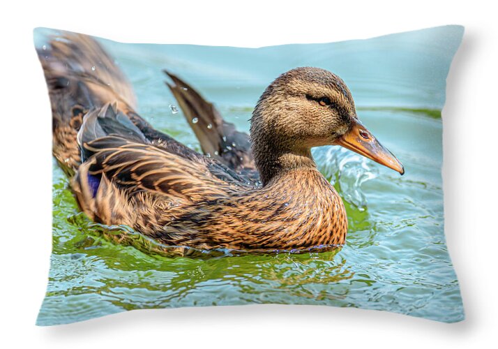 Duck Gliding on Water - Throw Pillow
