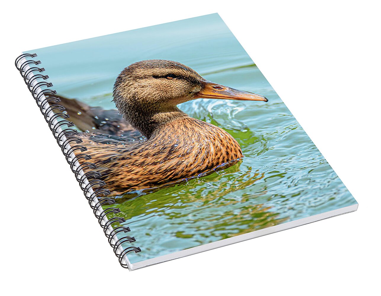 Duck Gliding on Water - Spiral Notebook