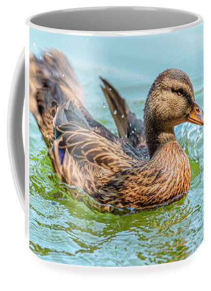 Duck Gliding on Water - Mug