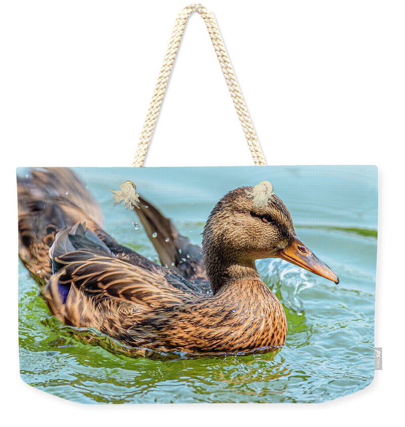Duck Gliding on Water - Weekender Tote Bag