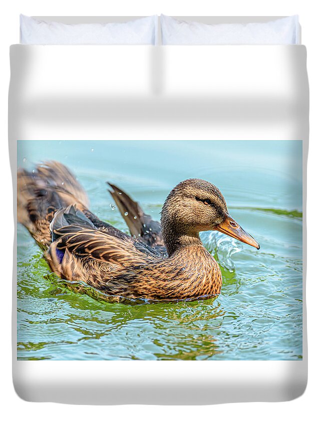 Duck Gliding on Water - Duvet Cover