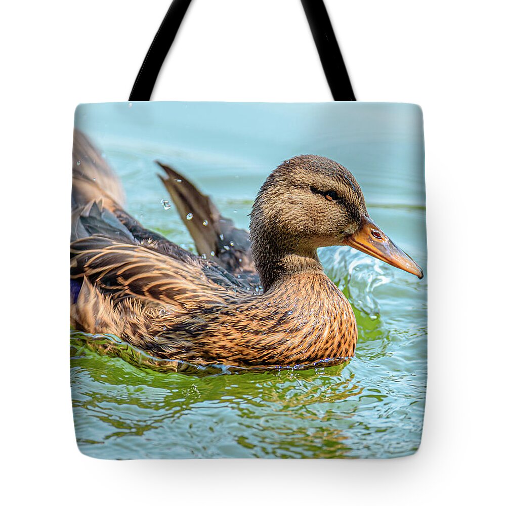 Duck Gliding on Water - Tote Bag