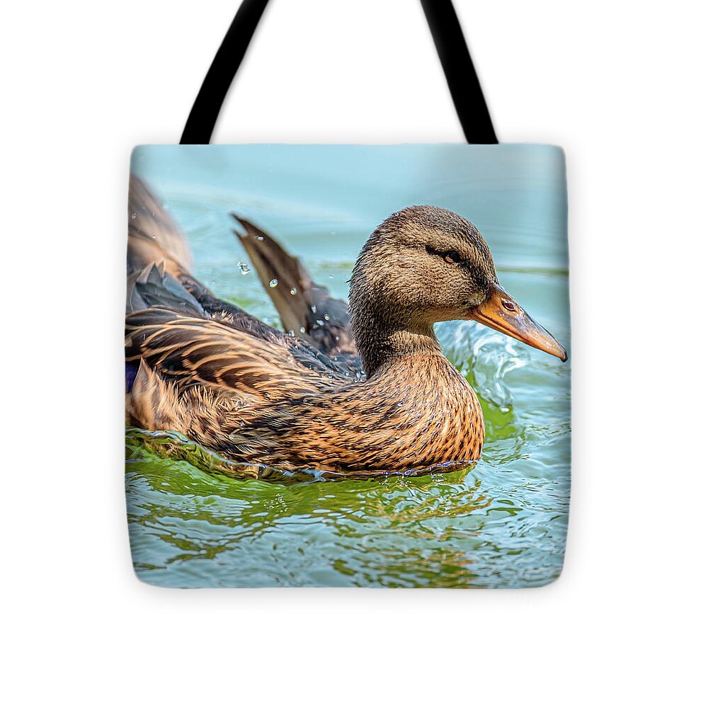 Duck Gliding on Water - Tote Bag