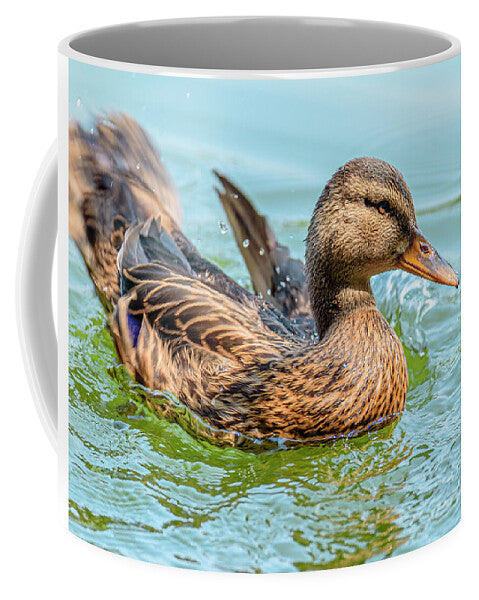 Duck Gliding on Water - Mug