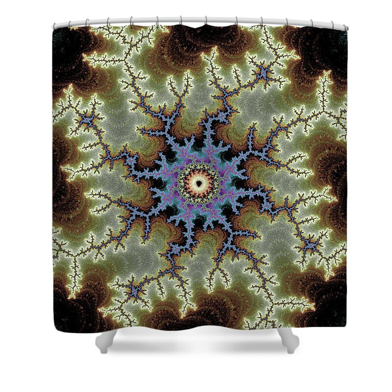 Electric Rays of Fractals Abstracts - Shower Curtain